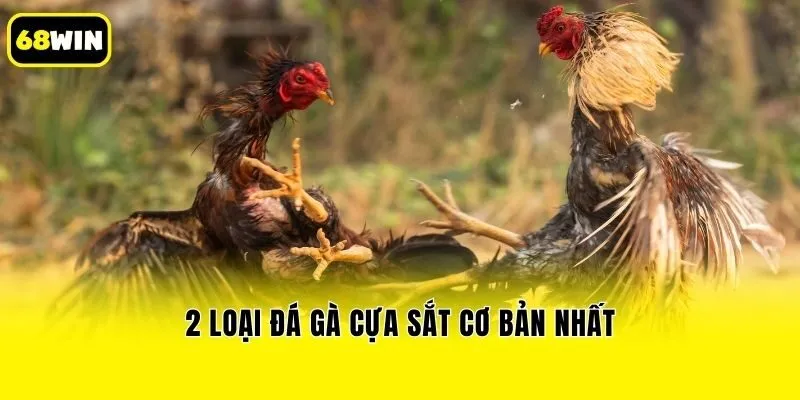 2 Loại đá gà cựa sắt cơ bản nhất