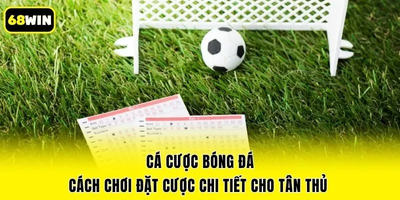Cá Cược Bóng Đá - Cách Chơi Đặt Cược Chi Tiết Cho Tân Thủ 