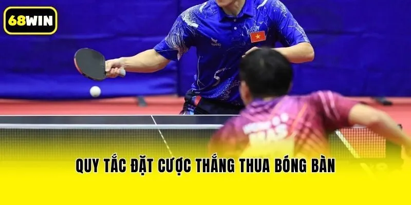 Quy tắc đặt cược thắng thua bóng bàn